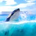 yuki (@yukiko_orca1224) Twitter profile photo yuki (@yukiko_orca1224) Twitter profile photo