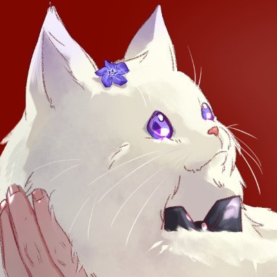 渉しづる Profile