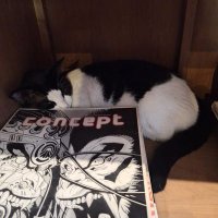 Blue🦥 (@grumpysapiens) 's Twitter Profile