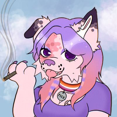 INACTIVE FIND ME ON BLUESKYYYYY DUCK ELON THE NAZI
INTERNET DOG MUSIC PRODUCER SELF MADE GIRL - 21 - MSP 🔜 🇺🇾 - DOG WITH A BLOG