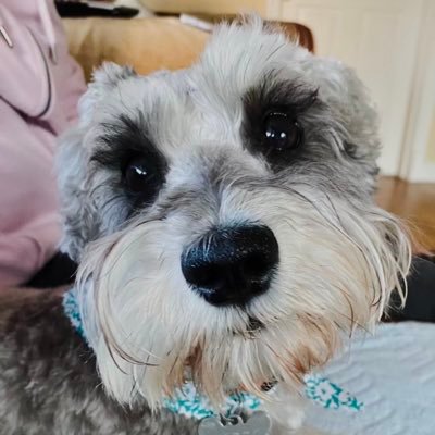 mcaleer_clo's profile picture. 