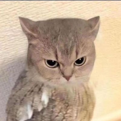 PurpurHuh's profile picture. the movie the game