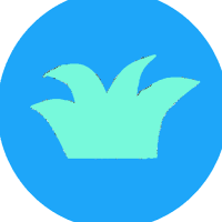 九大の雑草サークル (@kyuweed) 's Twitter Profile