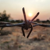 Juma'a (@jumamerciful) 's Twitter Profile