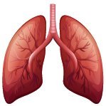 COPD 2025 (@stevens43970) 's Twitter Profile