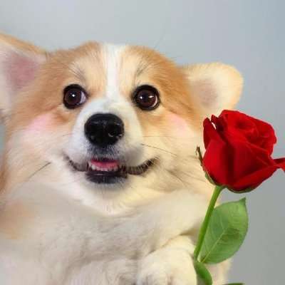 ljng1244441's profile picture. 篮球大神,热爱美食