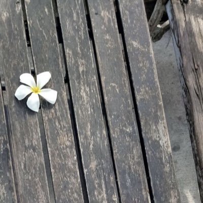 najaeminninaa's profile picture. ★ 👀ส่งทุกวัน ・。. ขายทุกอย่าง shipping : 40 ˖ ࣪·☆˖ ࣪ 🍅🛺 ★ บ้านเขียวใต้โพสต์ปักหมุด☁️