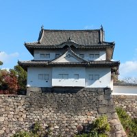 人生転覆反省日記 (@j3ggqsl4e1cg1bl) 's Twitter Profile