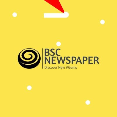Unmasking the BSC_Newspaper Scam: A Critical Alert for the Crypto Community