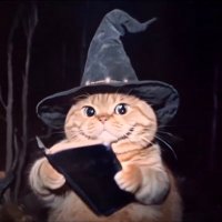 だいふく🍕🐉🚑🌸 (@yukiminico) Twitter profile photo