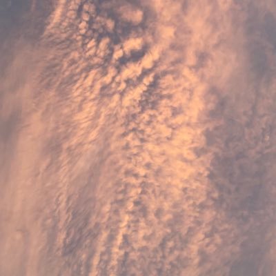 Titania2600's profile picture. 