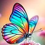 milktea0004's profile picture. 