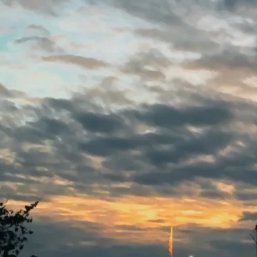 tY5VmFa0kb15487's profile picture. Art 💘 Sports ⭕ Adventure 💓 Learning 🕳 #MAGA