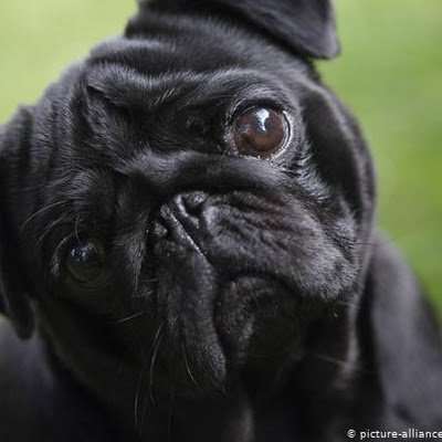 lynch_kyli97655's profile picture. 