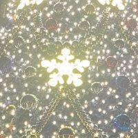 しちは (@shichiha_key) 's Twitter Profile