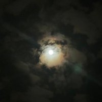 kawaki (@lv3cmpwarh50106) 's Twitter Profile