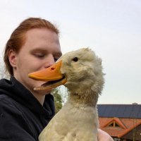 Ivo (@_dont_ask_why__) Twitter profile photo