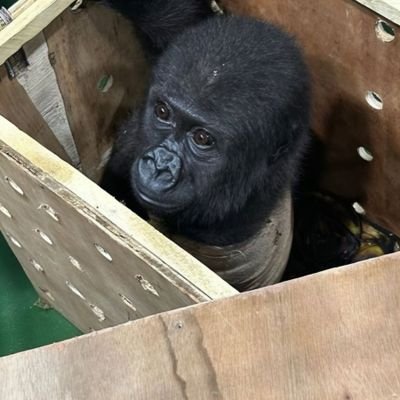 SonbuJ35039's profile picture. 