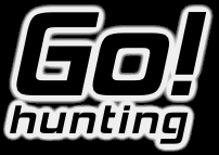 GoHunting1's profile picture. 