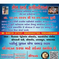 R Shrivastav Save Bird Foundation (@rajeshk60387237) 's Twitter Profile