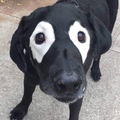 chngybng586480's profile picture. 