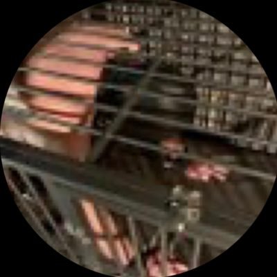 Mistress for submission Maid Slave….. Dm for your training session with tribute