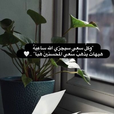 أؤمن بقوة الكلمة في بناء العوالم وإحداث التغيير، أكتب لأصنع أثراً يتجاوز الحدود.