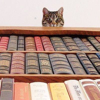 Книги не меняют жизнь, но учат тому, как ее можно изменить к лучшему...