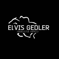 Analista Hipico🐴🐴 (@elvisgedler) 's Twitter Profile