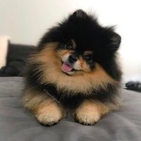 ดื้อนิดหน่อย🤍 (@tdd2z) 's Twitter Profile