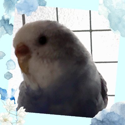 YqDLTUPpJU41952's profile picture. 初心者さん向けにましゅりブログでHTMLやブログのことをやさしく発信中🌸
https://t.co/YWUwONWAuM
楽天ROOMも気まぐれ更新してます🕊️
https://t.co/zjYMeBPFYk
 #ブログ初心者