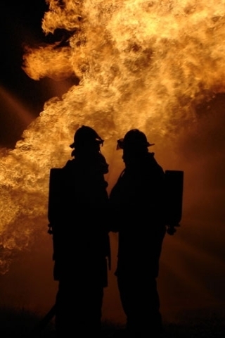 hotkiwifireman's profile picture. Battler in this thing we call Life.....