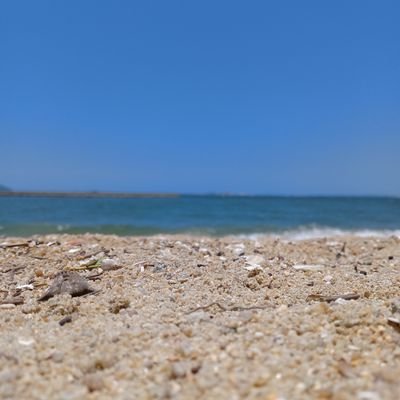 atmg2346's profile picture. 