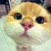 Y (@y9572642313485) Twitter profile photo Y (@y9572642313485) Twitter profile photo