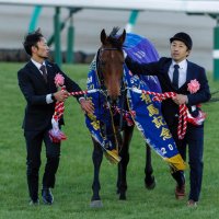 アスプロモンテ (@orfevre301) 's Twitter Profile