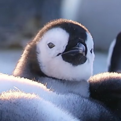 Jingさんのプロフィール画像