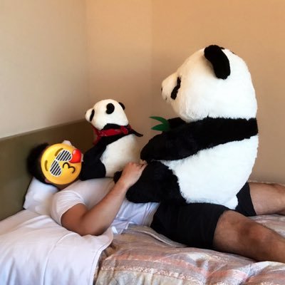 TKD619372's profile picture. 本アカは鍵付きのため熊猫堂の写真や動画アップ用のアカウントです。届け🐼の可愛さ💌飼育員さん、熊猫堂少し興味あるなって方は覗いてください👀