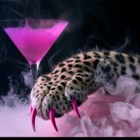 y🅰️smina🚫 (@yyasmina223) 's Twitter Profile