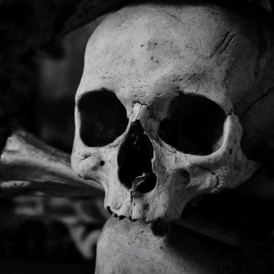 viscranium's profile picture. 666