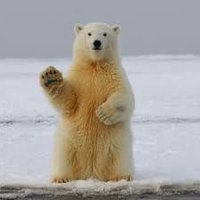 NZK (@nzk0112) 's Twitter Profile Photo