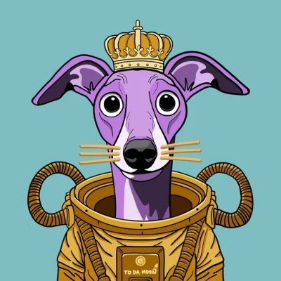 omrfarukyzc's profile picture. 
