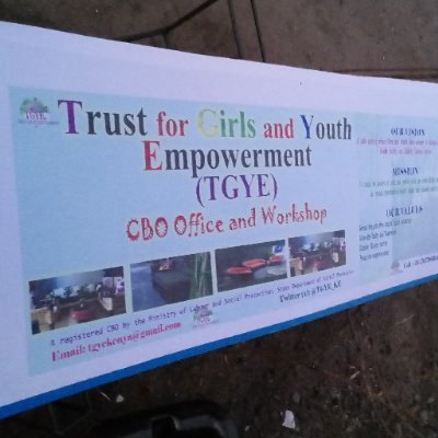 TGYE_KE's profile picture. A Youth Led Organization Registered by the Ministry of Labour and Social protection, State Department of Social protection determined to build a safe society