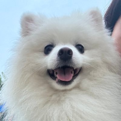 SLNtanniS's profile picture. 