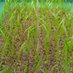 岩手大学農学部農業気象 (@agrmet_i) Twitter profile photo 岩手大学農学部農業気象 (@agrmet_i) Twitter profile photo