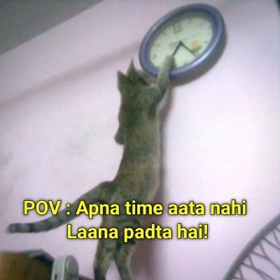 xubi1054's profile picture. 23 , Kashmiri 🍁