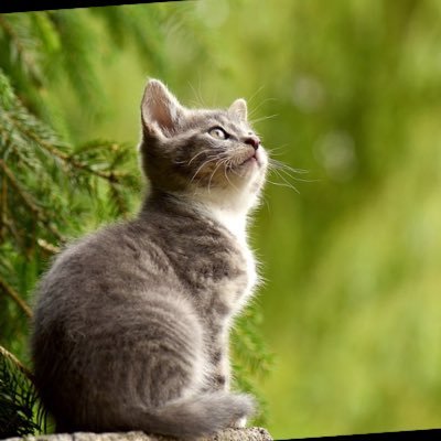 xx31194277's profile picture. 社会人/仮想通貨/web3.0/NFT/brc-20/meme