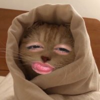 🧸ྀི (@crmlszn) 's Twitter Profile