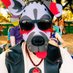Pup_Garment (@pup_garment) Twitter profile photo Pup_Garment (@pup_garment) Twitter profile photo