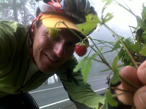 Cyclist, adventurer, forager, lover of the wild. Event commentator, IT analyst.