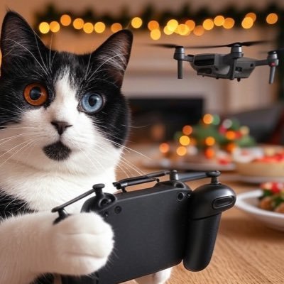 DRONE0220's profile picture. 空と海を繋げてみたい とりあえずドローン久しぶりに飛ばしたい